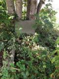 image of grave number 417052